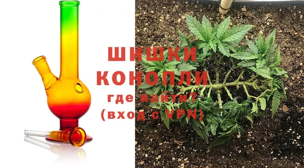 шишки Магадан