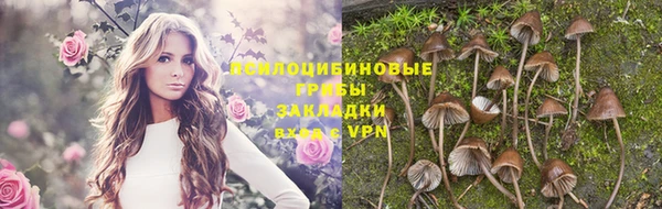шишки Магадан