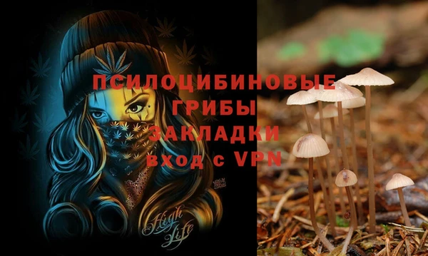 гидропоника Майский