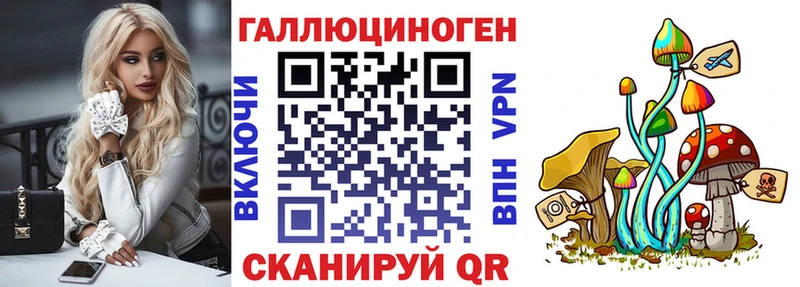Псилоцибиновые грибы MAGIC MUSHROOMS  где купить наркоту  Новый Уренгой 